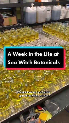 Sea Witch Botanicals on TikTok