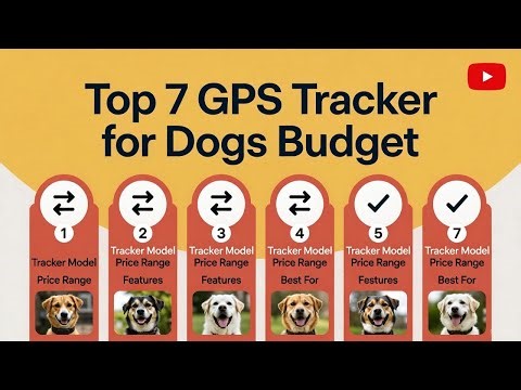 Top 7 GPS Tracker for Dogs Budget (Revealed) Affordable & Reliable