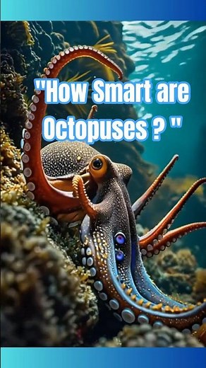 “Why Octopuses Are The Smartest Invertebrates On Earth 🐙” #shorts