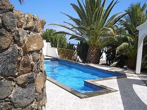 How To Get Rid Of Water Bugs In A Pool - Garden Guides