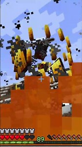 Minecraft Fight against Mutant Blaze Grand Final