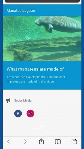 Explore and learn about FPL's Manatee Lagoon