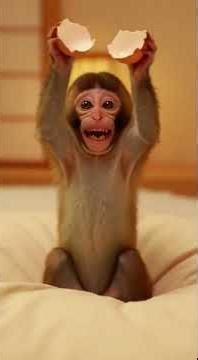 BABY AFFEN PRANK.😂🙊🥚