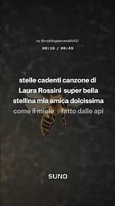 stelle cadenti canzone fatta da Laura Rossini Api 🐝🐝🍯🍯 fatto Api canzoni