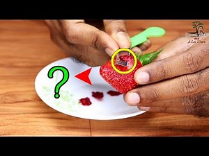 How to grow strawberries from seed easily in pot | Complete guide