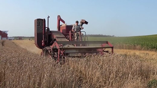 1950 Massey Harris Super 26 Combine | Farmall Lovers