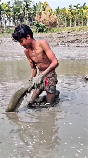 desi fish catching video #shorts ‪@AdiFishman‬ ‪@RAWWFishing‬ ‪@Banglaamar195‬