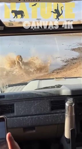 Lion vs Crocodile Brutal Waterhole Fight Caught on Camera | Real Safari Jeep Footage 4K