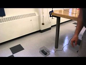 Experiment - Simple harmonic motion