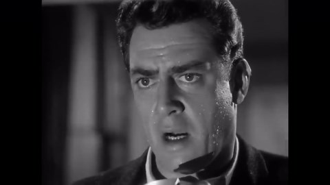 Raymond Burr was Hollywood's master of deceit