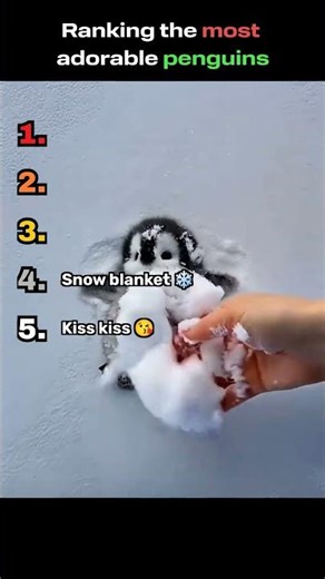 The Most Adorable Penguins 🥹 #viral #shorts #reels #funny #cute #trending