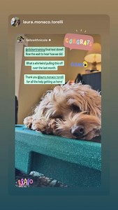 Karen Pryor Clicker Training on Reels | Facebook