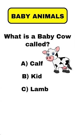 Baby Animals Quiz🐄