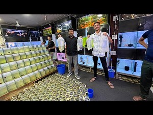 Bahot Sari New Fish Leli 🐠 #RTC