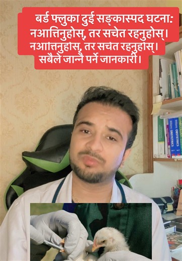 बर्ड फ्लुका दुई सङ्कास्पद घटना: नआत्तिनुहोस्, तर सचेत रहनुहोस् ! सबैले जान्नै पर्ने जानकारी। के–के कुरामा ध्यान दिने? ⚠️ याद राख्नुहोस्: ✅ बिरामी वा मरेका चरा/कुखुरा नछुनुहोस्। ✅ कुखुराको मासु र अण्डा राम्ररी पकाएर मात्र खानुहोस्। ✅ कुखुरा समातेपछि साबुनपानीले हात धुनुहोस्। ✅ अचानक धेरै कुखुरा बिरामी पर्ने वा मर्ने घटना देखिएमा सम्बन्धित पशु सेवा कार्यालयलाई जानकारी दिनुहोस्। ✅ ज्वरो, खोकी वा श्वासप्रश्वासको समस्या देखिएर बिरामी कुखुरासँग सम्पर्क भएको छ भने तुरुन्त स्वास्थ्य संस्थामा जानुहोस्। ❌