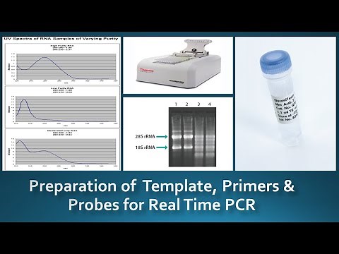 Guidelines for preparation & Handling of Template, Primers & Probes for real time PCR