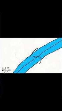 Every windows animation (animated)