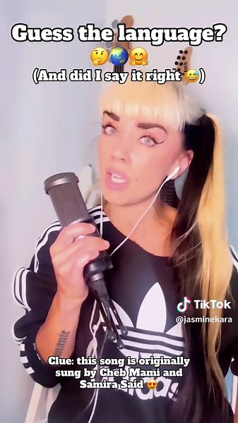 Guess the Language of Cheb Mami's Song