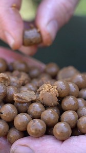 Simple Boilie Success 👌🔥 Straight boilie fishing, when possible 🦅 is a simple, but hugely effective tactic. Jimmy loves his washed- out Pacific Tuna approach! James Armstrong Angler #mooremeansmore #carpfishing | CC Moore & Co Ltd