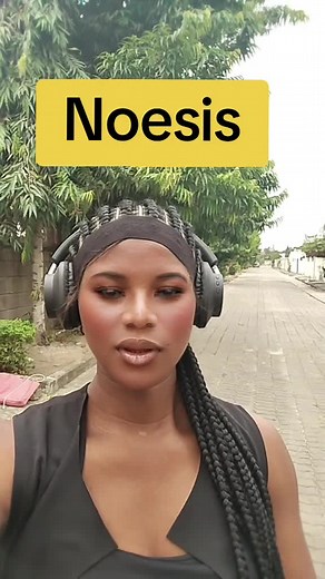 Understanding Noesis: The Power of Deep Intellectual Insight