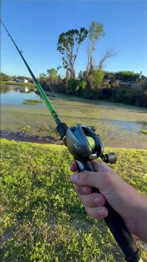 Curado DC #bassfishing #fishing #satisfying #slx #shimano