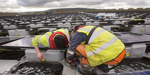 Floating solar is more than panels on a platform—it’s hydroelectric’s symbiont