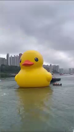 1.7K views · 24 reactions | Florentijn Hofman’s giant Rubber Duck is migrating back to Hong Kong to mark the 10-year anniversary of its last visit, and this time it’s bringing a friend! Read more: https://www.tatlerasia.com/lifestyle/arts/florentjin-hofman-rubber-duck-hong-kong-2023#DoubleDucks #RubberDuck #GiantRubberDuck #FlorentijnHofman | Tatler Hong Kong | Facebook