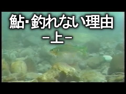 [Ayu Fishing] Reasons why you can't catch Ayu - Part 1 - [Ayu Fishing]