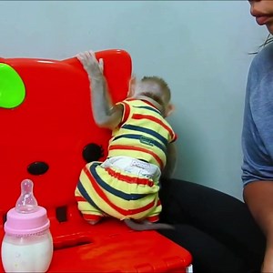 13K views · 1.1K reactions | .Adorable Doddy Sit On Mickey Chair Waiting Mom Mixing Milk For Him Part 20 | Monkey Wild | Facebook