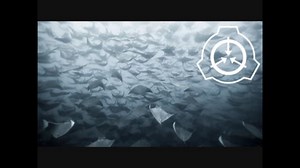 SCP-1340 - 洞窟マンタの友愛組合