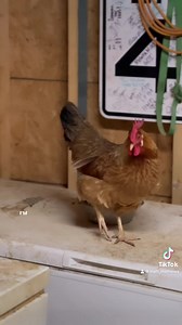 1.3M views · 82K reactions | Y’all know what time it is 臘‍♂️ | Matt Mathews | Facebook