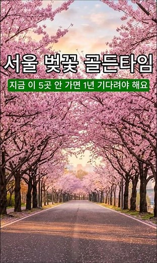 5 3-Day, 2-Night Seoul Cherry Blossom Itinerary: A Complete Guide to Golden Times for Yeouido, Se...