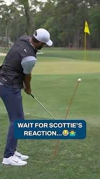 Scottie really said 🤷‍♂️