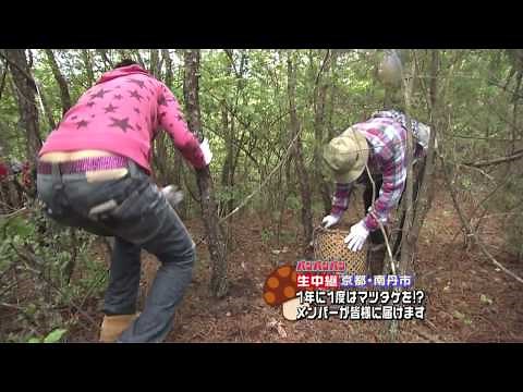 【お宝】石川梨華【半ケツ】