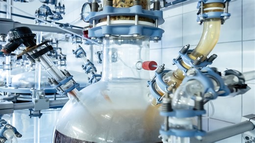 Engineers grow edible plastic from useless junk using yeast-like fungus