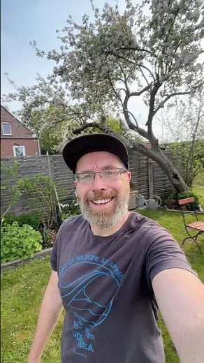 Update aus’m Garten 🪴Tomaten, Gurken & Paprika ins Gewächshaus. Draußen startet nun einiges durch.