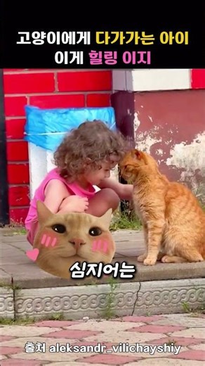 자동으로 웃음 나오는 영상ㅠㅠ