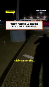 They found a suspicious van at the airport, and just by approaching it, they knew there was something very bad inside. Four missing people were in plastic bags, but those wouldn’t be the only v*ctims of this k*ller. | The Enigma