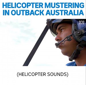 34K views · 322 reactions | How's this for a view from the office?  | ABC iview | Facebook