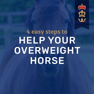 767 reactions · 193 shares | Stressed about your heavy horse? Get exclusive access to our guidebook for help today. | Triple Crown Feed | Facebook