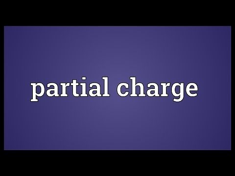 Partial charge Meaning