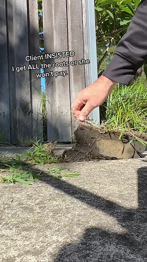 Satisfying Weed Pull ASMR Video