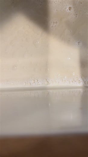 As a professional house cleaner a lot of my friends and family assume our home is always spotless and clean. I can assure you that this is not true! I have kids and animals too. While I hate clutter and our house is almost always “picked up” my floors get dirty too! Nothing like a good mop water poor! Get on your list to get your house cleaned for the holidays TODAY! Spaces are running out. | Two Moms & A Mop