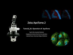 Zeiss Apotome 使用教學【顯微鏡實體操作 - 開機、樣品放置及對焦】