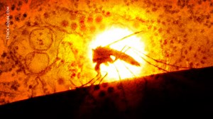 Dengue fever: What you need to know about virus and symptoms