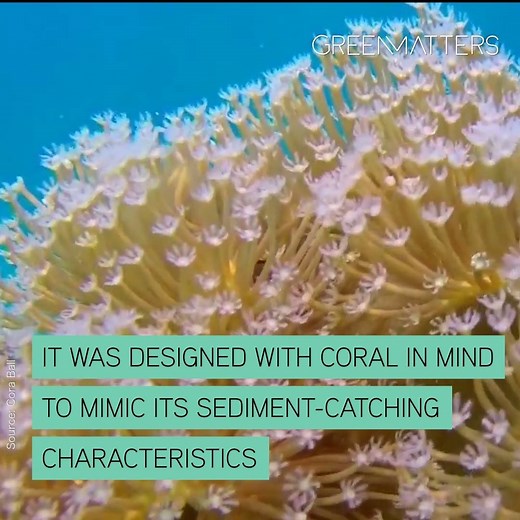 The Cora Ball is a small step to maintaining ocean's health! (via Cora Ball) | Green Matters