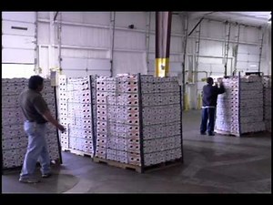 Mango Warehouse Training Video