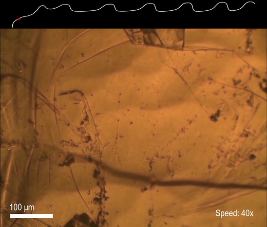 Graphite oxidation experiments reveal new type of oscillating chemical reaction