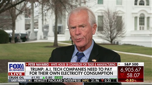 Peter Navarro: A micro approach to the macro problem of inflation is working