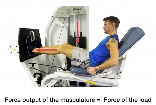 What is Momentary Muscular Failure, Why We Seek It Out… and How To Get There - HITuni